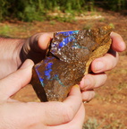 Schürfen in Australien: Boulderopal