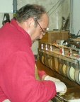 Hermann