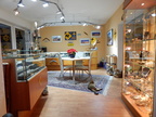 Showroom with Tiger